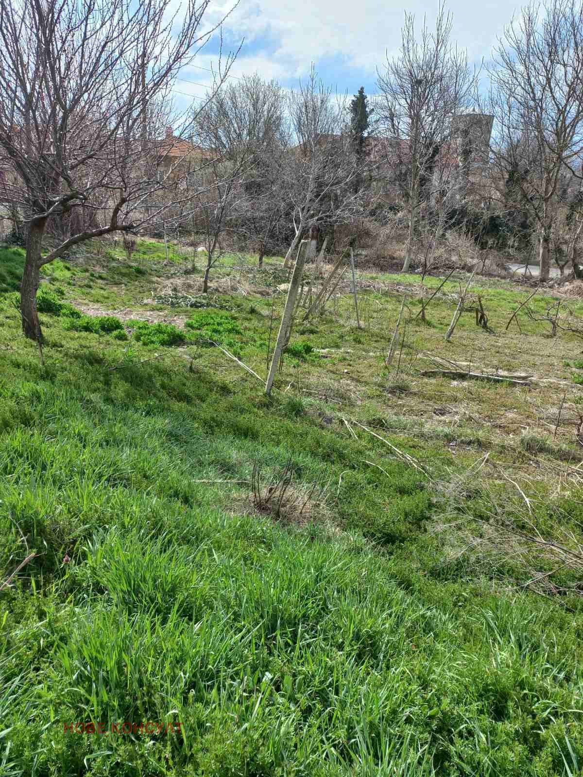 Продава Парцел област Шумен , с. Мараш , 1163 кв.м | 12755194 — Imoti.com Продава Парцел област Шумен , с. Мараш , 1163 кв.м | 12755194