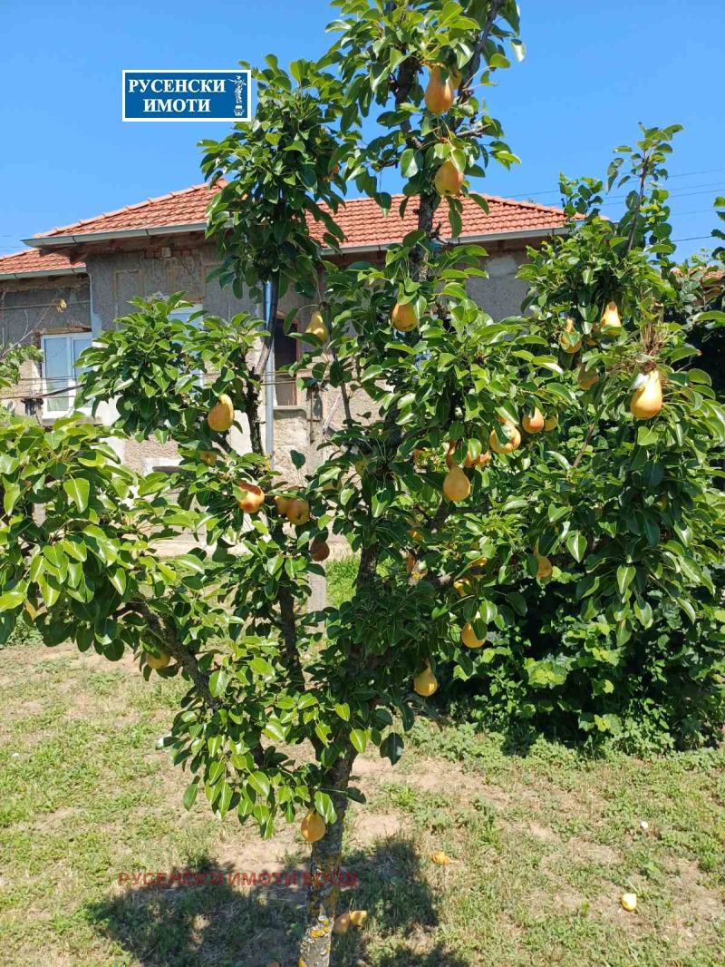 Продава КЪЩА, област Русе, с. Бръшлен • 28000 € / 54763.24 лв. • 29216491 1 — Holmes.bg Продава КЪЩА, област Русе, с. Бръшлен • 28000 € / 54763.24 лв. • 29216491 1