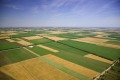 Продава Земеделска земя област Кюстендил , гр. Бобошево , 4.196 дка | 68583948 — Imoti.com Продава Земеделска земя област Кюстендил , гр. Бобошево , 4.196 дка | 68583948