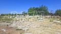 Продава Парцел област Пазарджик , с. Говедаре , 2427 кв.м | 67058082 — Imoti.com Продава Парцел област Пазарджик , с. Говедаре , 2427 кв.м | 67058082