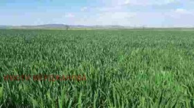 Снимка Продава ЗЕМЕДЕЛСКА ЗЕМЯ