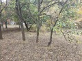Продава ПАРЦЕЛ, област София, с. Церово • 33000 € • 37054597 2 — Holmes.bg Продава ПАРЦЕЛ, област София, с. Церово • 33000 € • 37054597 2