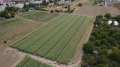 Продава ПАРЦЕЛ, град Пловдив, Коматево • 870000 € • 66674367 7 — Holmes.bg Продава ПАРЦЕЛ, град Пловдив, Коматево • 870000 € • 66674367 7
