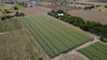 Продава ПАРЦЕЛ, град Пловдив, Коматево • 870000 € • 66674367 2 — Holmes.bg Продава ПАРЦЕЛ, град Пловдив, Коматево • 870000 € • 66674367 2