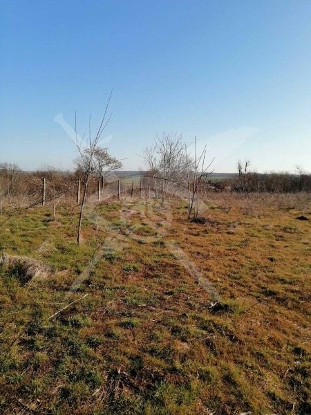 Продава ПАРЦЕЛ, област Бургас, с. Дюлево • 62000 € / 121261.46 лв. • 86407316 1 — Holmes.bg Продава ПАРЦЕЛ, област Бургас, с. Дюлево • 62000 € / 121261.46 лв. • 86407316 1