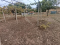 Продава КЪЩА, област Велико Търново, с. Долна Липница • 48000 € • 96736518 14 — Holmes.bg Продава КЪЩА, област Велико Търново, с. Долна Липница • 48000 € • 96736518 14