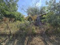 Продава ПАРЦЕЛ, област Добрич, с. Кранево • 67000 € / 131040.61 лв. • 39109432 1 — Holmes.bg Продава ПАРЦЕЛ, област Добрич, с. Кранево • 67000 € / 131040.61 лв. • 39109432 1