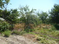 Продава КЪЩА, област Добрич, с. Плачидол • 73000 € • 17134719 15 — Holmes.bg Продава КЪЩА, област Добрич, с. Плачидол • 73000 € • 17134719 15