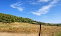 Продава ПАРЦЕЛ, Гърция, Източна Атика • 130000 € • 41003057 7 — Holmes.bg Продава ПАРЦЕЛ, Гърция, Източна Атика • 130000 € • 41003057 7