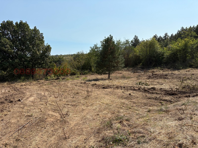 Продава ПАРЦЕЛ, град Варна, с. Звездица • 155000 € • 15985835 1 — Holmes.bg Продава ПАРЦЕЛ, град Варна, с. Звездица • 155000 € • 15985835 1