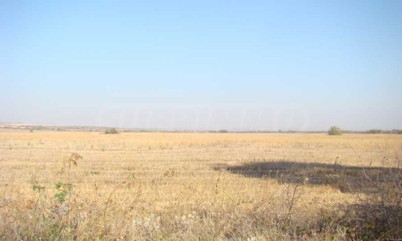 Продава ПАРЦЕЛ, област Видин, с. Арчар • 9800 € • 75197325 1 — Holmes.bg Продава ПАРЦЕЛ, област Видин, с. Арчар • 9800 € • 75197325 1