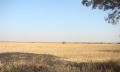 Продава ПАРЦЕЛ, област Видин, с. Арчар • 9800 € • 75197325 2 — Holmes.bg Продава ПАРЦЕЛ, област Видин, с. Арчар • 9800 € • 75197325 2