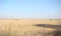 Продава ПАРЦЕЛ, област Видин, с. Арчар • 9800 € • 75197325 1 — Holmes.bg Продава ПАРЦЕЛ, област Видин, с. Арчар • 9800 € • 75197325 1