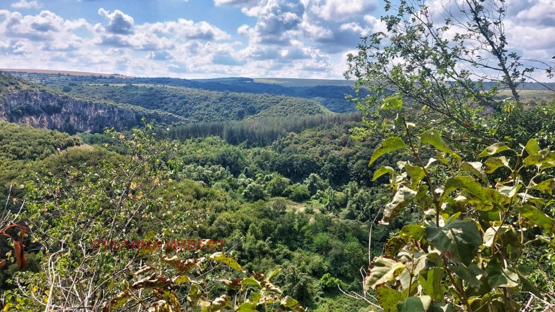 Продава ПАРЦЕЛ, област Русе, с. Пепелина • 10000 € • 19943943 1 — Holmes.bg Продава ПАРЦЕЛ, област Русе, с. Пепелина • 10000 € • 19943943 1