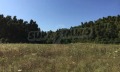 Продава ПАРЦЕЛ, Гърция, Халкидики • 100000 € / 195583.00 лв. • 43642268 5 — Holmes.bg Продава ПАРЦЕЛ, Гърция, Халкидики • 100000 € / 195583.00 лв. • 43642268 5