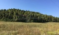 Продава ПАРЦЕЛ, Гърция, Халкидики • 100000 € / 195583.00 лв. • 43642268 6 — Holmes.bg Продава ПАРЦЕЛ, Гърция, Халкидики • 100000 € / 195583.00 лв. • 43642268 6