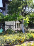 Продава КЪЩА, област Ловеч, с. Деветаки • 30000 € • 48942701 2 — Holmes.bg Продава КЪЩА, област Ловеч, с. Деветаки • 30000 € • 48942701 2