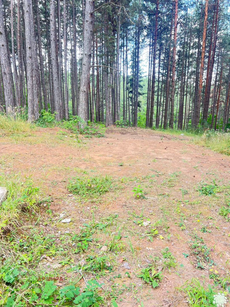 Продава ПАРЦЕЛ, град София, с. Войнеговци • 40000 € • 74890782 1 — Holmes.bg Продава ПАРЦЕЛ, град София, с. Войнеговци • 40000 € • 74890782 1