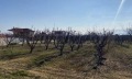 Продава ПАРЦЕЛ, Гърция, Халкидики • 430000 € / 841006.90 лв. • 72629922 17 — Holmes.bg Продава ПАРЦЕЛ, Гърция, Халкидики • 430000 € / 841006.90 лв. • 72629922 17