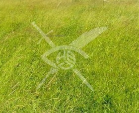 ПАРЦЕЛ, 12 276 m2 - Holmes.bg ПАРЦЕЛ, 12 276 m2