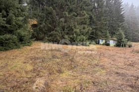 Обява Продава ПАРЦЕЛ,с. Говедарци, област София