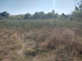 ПАРЦЕЛ, 1 000 m2 - Holmes.bg ПАРЦЕЛ, 1 000 m2