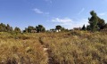 Продава ПАРЦЕЛ, Гърция, Халкидики • 1200000 € / 2346996.00 лв. • 91073587 3 — Holmes.bg Продава ПАРЦЕЛ, Гърция, Халкидики • 1200000 € / 2346996.00 лв. • 91073587 3