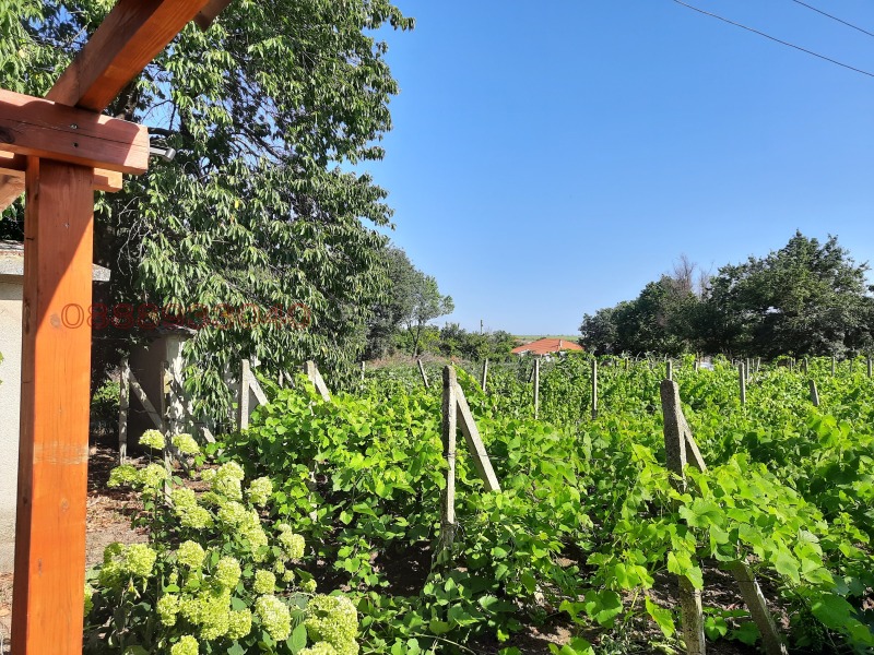Продава КЪЩА, област Добрич, гр. Шабла • 104000 € / 203406.32 лв. • 73369700 1 — Holmes.bg Продава КЪЩА, област Добрич, гр. Шабла • 104000 € / 203406.32 лв. • 73369700 1