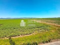 Продава 1-СТАЕН, област Бургас, к.к. Слънчев бряг • 34000 € • 93656534 10 — Holmes.bg Продава 1-СТАЕН, област Бургас, к.к. Слънчев бряг • 34000 € • 93656534 10
