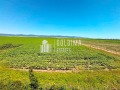 Продава 1-СТАЕН, област Бургас, к.к. Слънчев бряг • 34000 € • 93656534 11 — Holmes.bg Продава 1-СТАЕН, област Бургас, к.к. Слънчев бряг • 34000 € • 93656534 11