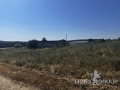Продава ПАРЦЕЛ, област Варна, с. Китка • 38000 € / 74321.54 лв. • 41739283 3 — Holmes.bg Продава ПАРЦЕЛ, област Варна, с. Китка • 38000 € / 74321.54 лв. • 41739283 3