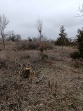 Продава Парцел област Велико Търново , с. Козаревец , 1300 кв.м | 37971985 — Imoti.com Продава Парцел област Велико Търново , с. Козаревец , 1300 кв.м | 37971985