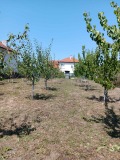 Продава ПАРЦЕЛ, с. Лиляче, област Враца, снимка 1 — Bazar.bg Продава ПАРЦЕЛ, с. Лиляче, област Враца, снимка 1