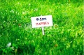 Продава ПАРЦЕЛ, град Варна, м-т Боровец - север • 50000 € / 97791.50 лв. • 92408822 1 — Holmes.bg Продава ПАРЦЕЛ, град Варна, м-т Боровец - север • 50000 € / 97791.50 лв. • 92408822 1