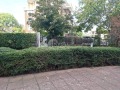 Продава 2-СТАЕН, област Бургас, к.к. Слънчев бряг • 89000 € • 60663192 15 — Holmes.bg Продава 2-СТАЕН, област Бургас, к.к. Слънчев бряг • 89000 € • 60663192 15