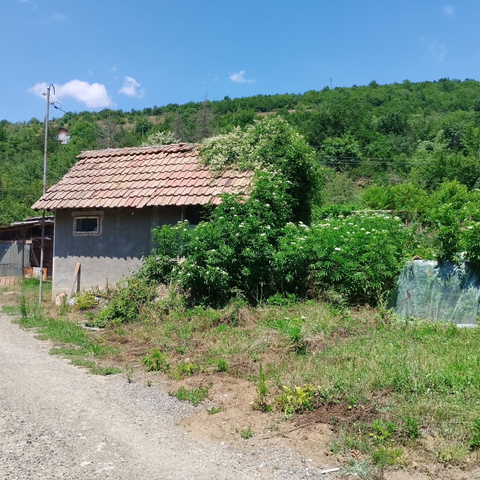 Продава Земеделска земя област Велико Търново , с. Малки чифлик , 0.5 дка | 23397013 — Imoti.com Продава Земеделска земя област Велико Търново , с. Малки чифлик , 0.5 дка | 23397013