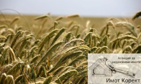 Продава Земеделска земя, гр. Асеновград