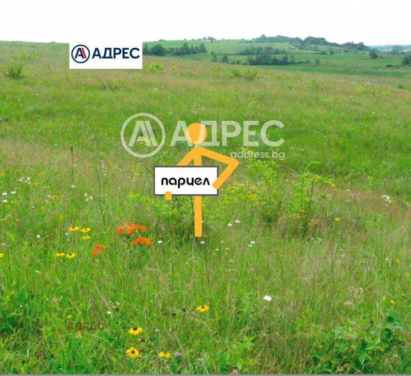 Продава ПАРЦЕЛ, град Варна, с. Константиново • 22000 € / 43028.26 лв. • 51533875 1 — Holmes.bg Продава ПАРЦЕЛ, град Варна, с. Константиново • 22000 € / 43028.26 лв. • 51533875 1