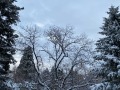 Продава 4-СТАЕН, град София, Бояна • 660000 € / 1290847.80 лв. • 76182600 11 — Holmes.bg Продава 4-СТАЕН, град София, Бояна • 660000 € / 1290847.80 лв. • 76182600 11