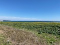 Продава Парцел област Бургас , гр. Поморие , 3300 кв.м | 94478514 — Imoti.com Продава Парцел област Бургас , гр. Поморие , 3300 кв.м | 94478514