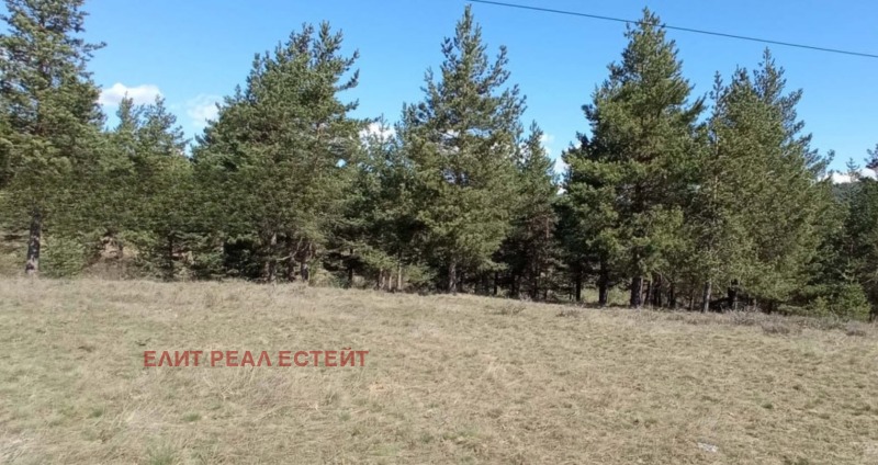 Продава ПАРЦЕЛ, област Благоевград, с. Баня • 17500 € • 35157647 1 — Holmes.bg Продава ПАРЦЕЛ, област Благоевград, с. Баня • 17500 € • 35157647 1