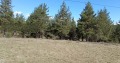 Продава ПАРЦЕЛ, област Благоевград, с. Баня • 17500 € • 35157647 1 — Holmes.bg Продава ПАРЦЕЛ, област Благоевград, с. Баня • 17500 € • 35157647 1