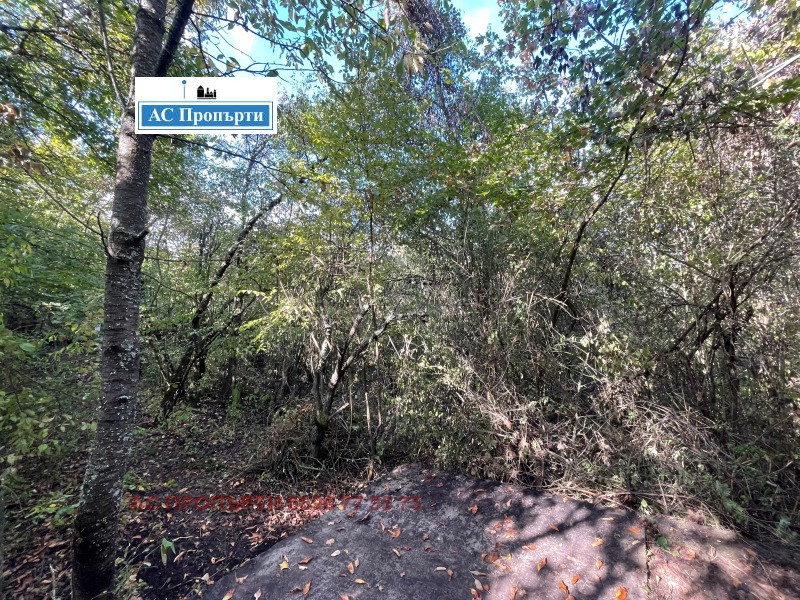 Продава ПАРЦЕЛ, област София, с. Макоцево • 17500 € / 34227.03 лв. • 31765713 1 — Holmes.bg Продава ПАРЦЕЛ, област София, с. Макоцево • 17500 € / 34227.03 лв. • 31765713 1