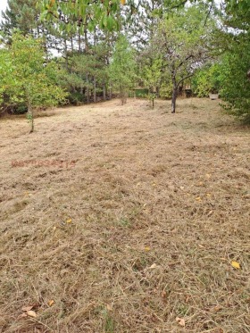 Обява Продава КЪЩА,с. Понор, област София