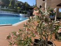 Продава 1-СТАЕН, област Бургас, гр. Созопол • 91600 € / 179154.03 лв. • 93652500 6 — Holmes.bg Продава 1-СТАЕН, област Бургас, гр. Созопол • 91600 € / 179154.03 лв. • 93652500 6