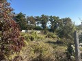 Продава ПАРЦЕЛ, град Варна, м-т Манастирски рид • 140000 € • 11731080 2 — Holmes.bg Продава ПАРЦЕЛ, град Варна, м-т Манастирски рид • 140000 € • 11731080 2