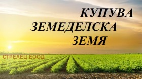 Продава Земеделска земя, с. Опанец