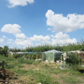 Продава ПАРЦЕЛ, област Добрич, с. Сноп • 6500 € • 14142011 7 — Holmes.bg Продава ПАРЦЕЛ, област Добрич, с. Сноп • 6500 € • 14142011 7