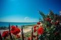 Продава 2-СТАЕН, област Бургас, с. Равда • 91000 € / 177980.53 лв. • 84933585 1 — Holmes.bg Продава 2-СТАЕН, област Бургас, с. Равда • 91000 € / 177980.53 лв. • 84933585 1