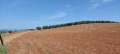 Продава ПАРЦЕЛ, Гърция, Халкидики • 65000 € / 127128.95 лв. • 95719367 5 — Holmes.bg Продава ПАРЦЕЛ, Гърция, Халкидики • 65000 € / 127128.95 лв. • 95719367 5